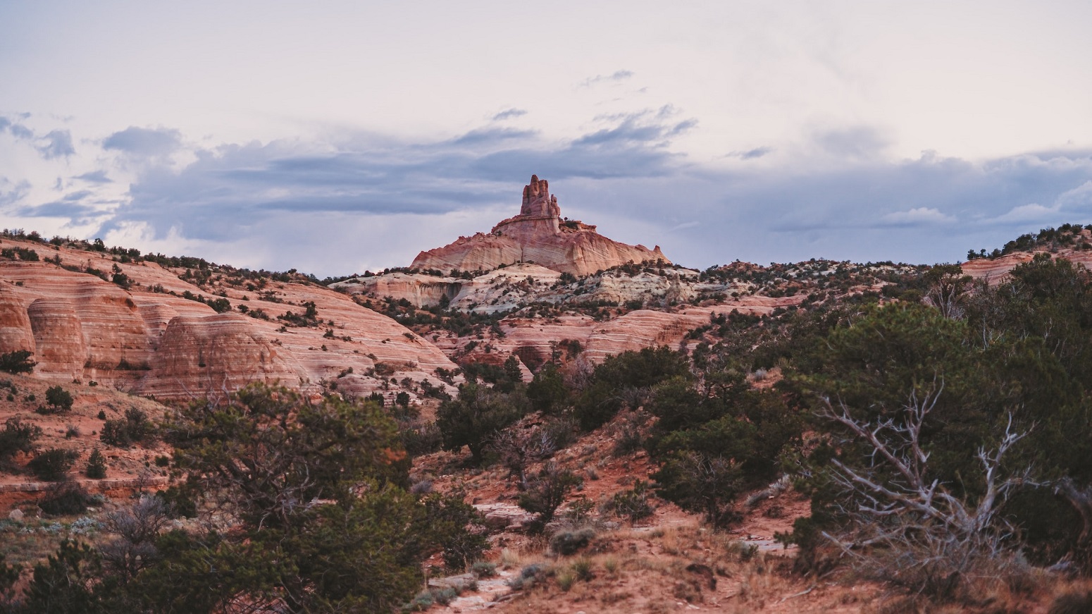 Gallup, NM